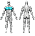 chestday